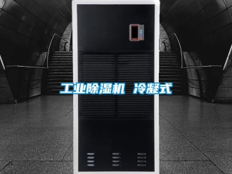 常见问题工业除湿机 冷凝式
