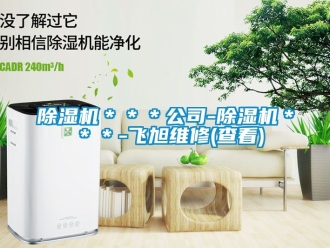 企业新闻除湿机＊＊＊公司-除湿机＊＊＊-飞旭维修(查看)