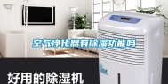 空气净化器有除湿功能吗
