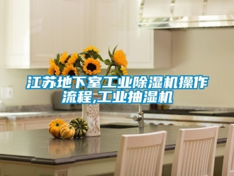 常见问题江苏地下室工业除湿机操作流程,工业抽湿机