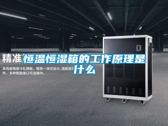 知识百科恒温恒湿箱的工作原理是什么