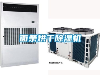 行业新闻面条烘干除湿机