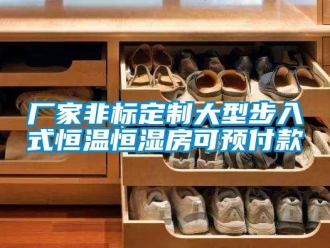 知识百科厂家非标定制大型步入式恒温恒湿房可预付款