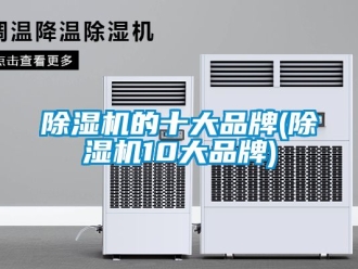 企业新闻除湿机的十大品牌(除湿机10大品牌)