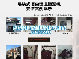 企业新闻湖州防爆型管道防爆除湿机 BCGZ10
