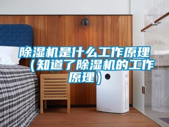 行业新闻除湿机是什么工作原理（知道了除湿机的工作原理）