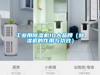 常见问题工业用除湿机10大品牌（除湿机的作用与功效）