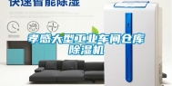 孝感大型工业车间仓库除湿机