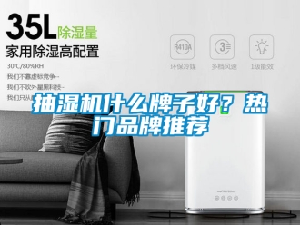 企业新闻抽湿机什么牌子好？热门品牌推荐