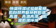 恒温恒湿试验箱能模拟自然界复杂的低温、高温、高温高湿、低温低湿环境