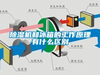 行业新闻除湿机和冰箱的工作原理有什么区别