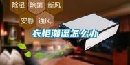 衣柜潮湿怎么办