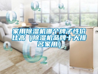 企业新闻家用除湿机哪个牌子性价比高（除湿机品牌十大排名家用）