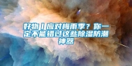 好物丨应对梅雨季？你一定不能错过这些除湿防潮神器