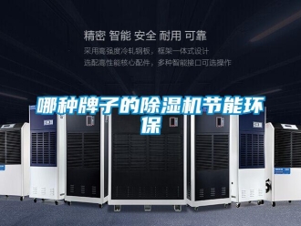 行业新闻哪种牌子的除湿机节能环保