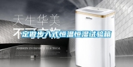 定做步入式恒温恒湿试验箱