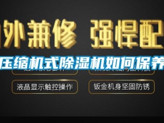 常见问题压缩机式除湿机如何保养