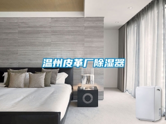 行业新闻温州皮革厂除湿器