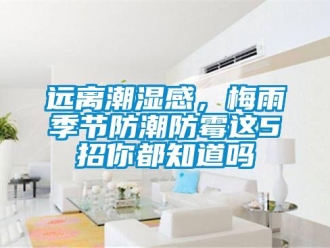常见问题远离潮湿感，梅雨季节防潮防霉这5招你都知道吗