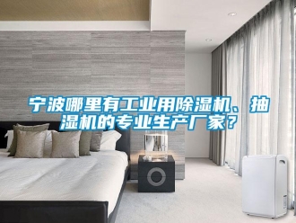 行业新闻宁波哪里有工业用除湿机、抽湿机的专业生产厂家？