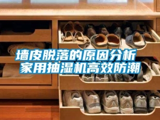 企业新闻墙皮脱落的原因分析 家用抽湿机高效防潮