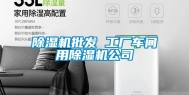 除湿机批发 工厂车间用除湿机公司