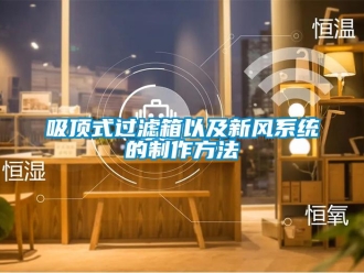企业新闻吸顶式过滤箱以及新风系统的制作方法