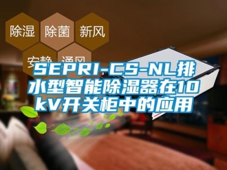 企业新闻SEPRI-CS-NL排水型智能除湿器在10kV开关柜中的应用