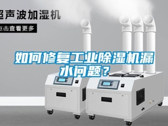 常见问题如何修复工业除湿机漏水问题？