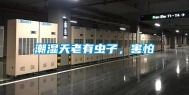 潮湿天老有虫子，害怕