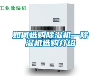 行业新闻如何选购除湿机—除湿机选购介绍
