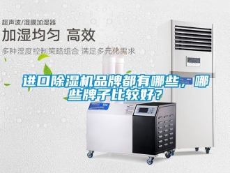 企业新闻进口除湿机品牌都有哪些，哪些牌子比较好？