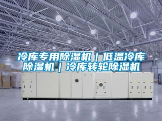 常见问题冷库专用除湿机｜低温冷库除湿机｜冷库转轮除湿机