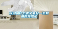 除湿机什么牌子最好—怎样选购除湿机