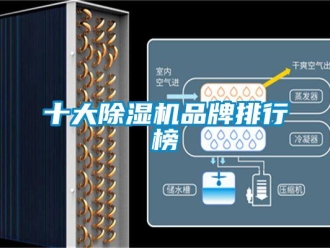 企业新闻十大除湿机品牌排行榜