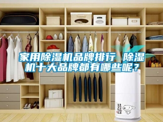 企业新闻家用除湿机品牌排行 除湿机十大品牌都有哪些呢？