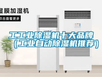 常见问题工工业除湿机十大品牌（工业自动除湿机推荐）