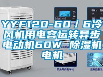 企业新闻YYF120-60／6冷风机用电容运转异步电动机60W 除湿机电机