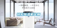 转轮除湿机定制