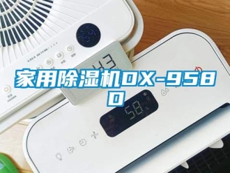 常见问题家用除湿机DX-958D