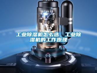 常见问题工业除湿机怎么选，工业除湿机的工作原理