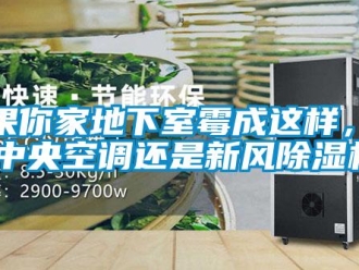 行业新闻如果你家地下室霉成这样，选装中央空调还是新风除湿机？