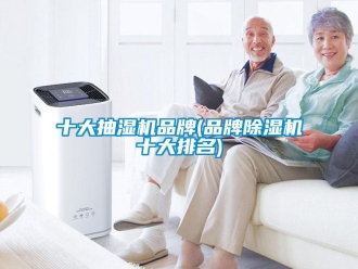 企业新闻十大抽湿机品牌(品牌除湿机十大排名)