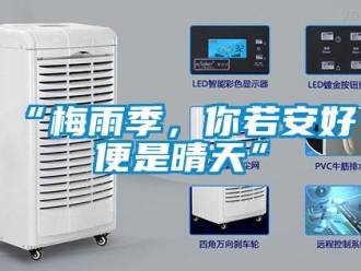 常见问题“梅雨季，你若安好，便是晴天”