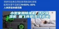 小型家用除湿机 济宁除湿机 雁飞商贸(在线咨询)