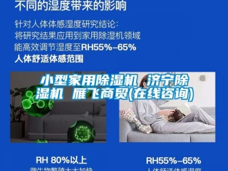 常见问题小型家用除湿机 济宁除湿机 雁飞商贸(在线咨询)