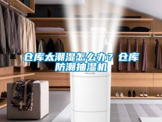 企业新闻仓库太潮湿怎么办？仓库防潮抽湿机