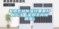 室内怎样除湿效果最好的方法（室内怎样除跳蚤）