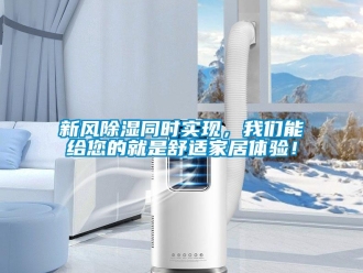知识百科新风除湿同时实现，我们能给您的就是舒适家居体验！