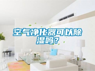 行业新闻空气净化器可以除湿吗？